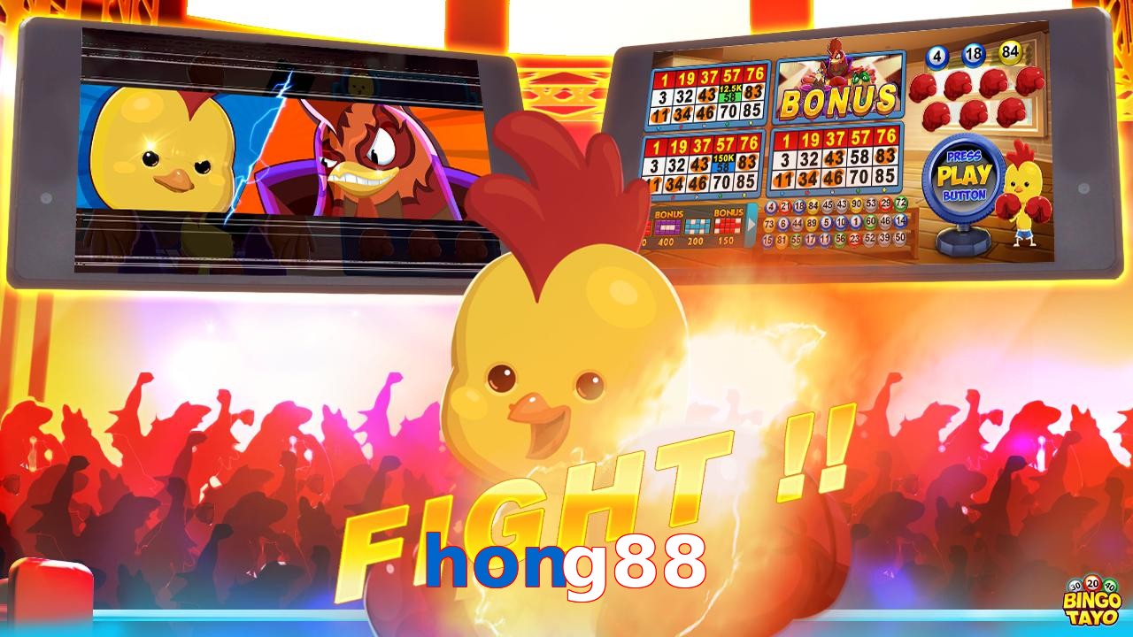 hong88